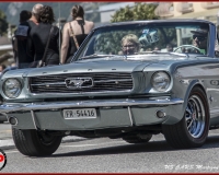 TSR Watermark - 0630